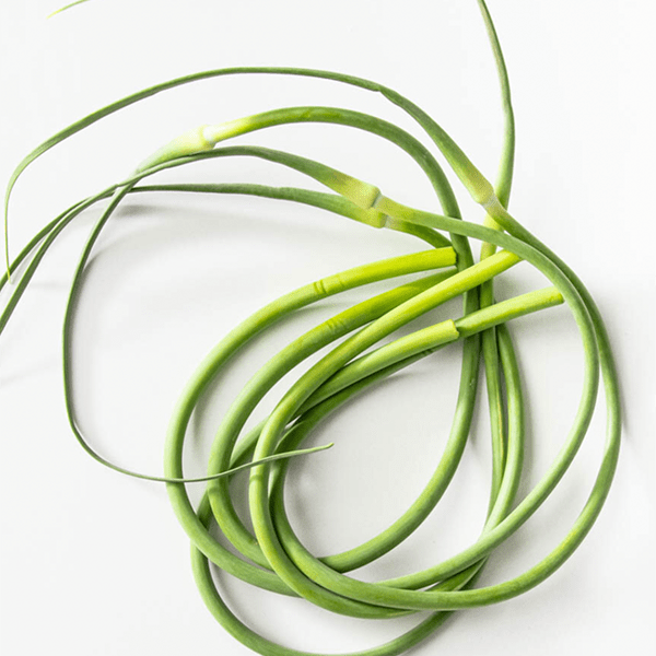 Garlic Scapes OUT OF STOCK Country Joy Farm Gourmet Seed Garlic